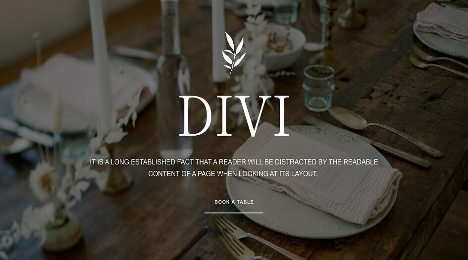 web-design-agency-19